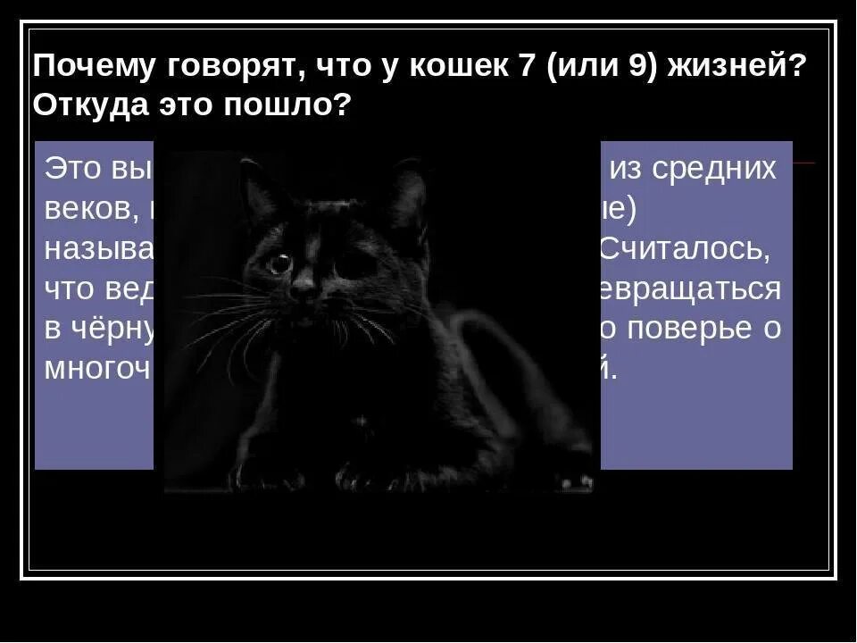 Кошке 9