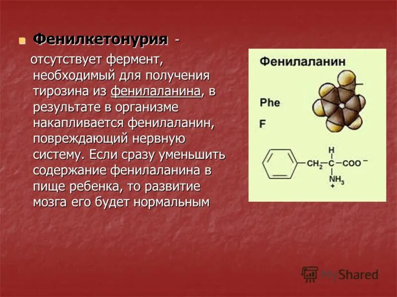 Фенилкетонурия дефектный фермент. При фенилкетонурии отсутствует фермент. При фенилкетонурии в организме отсутствует фермент. Фермент расщепляющий фенилаланин. Фенилкетонурия генотип