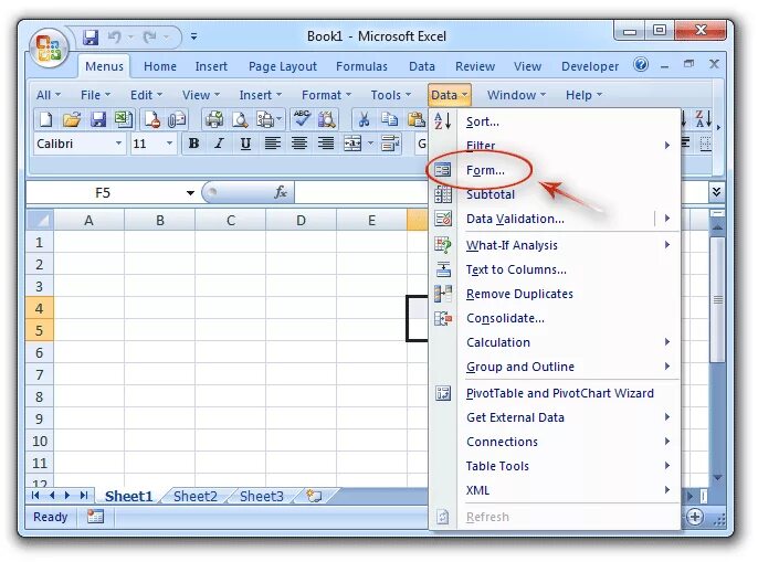 Форм где. Эксель данные форма. Данные форма в excel. Где в эксель данные форма. Меню данные в excel.