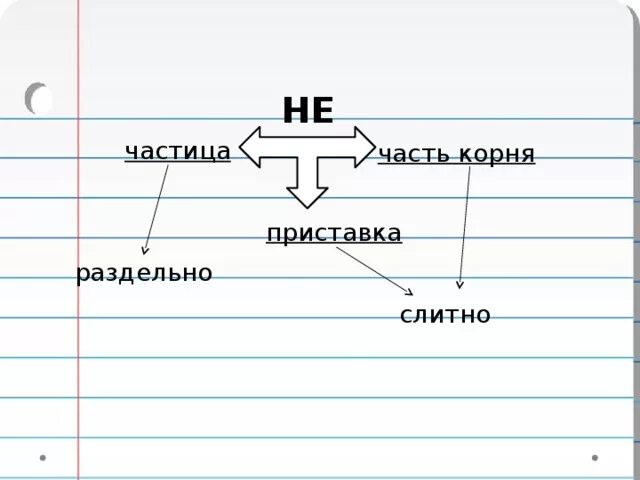 Частица не и приставка не. Не часть корня. Схема частица не и приставки не. Приставка часть корня частица.