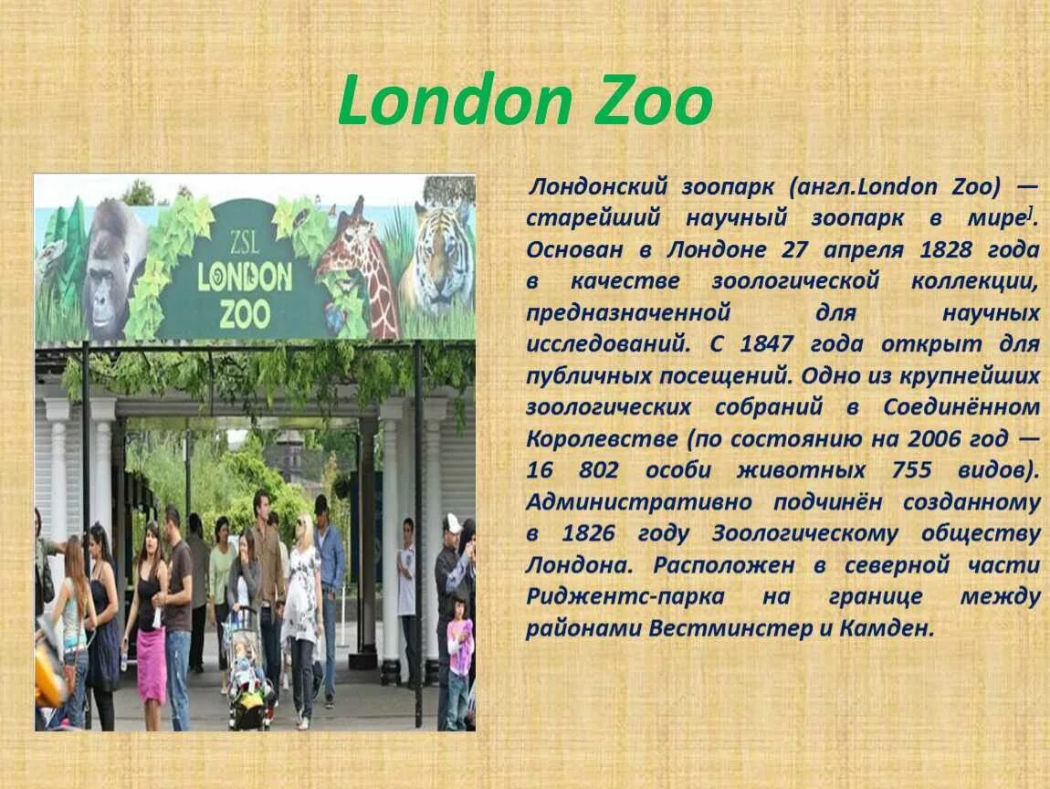 Лондонский зоопарк проект. Лондонский зоопарк сообщение. Лондонский зоопарк доклад. Лондонский зоопарк презентация.