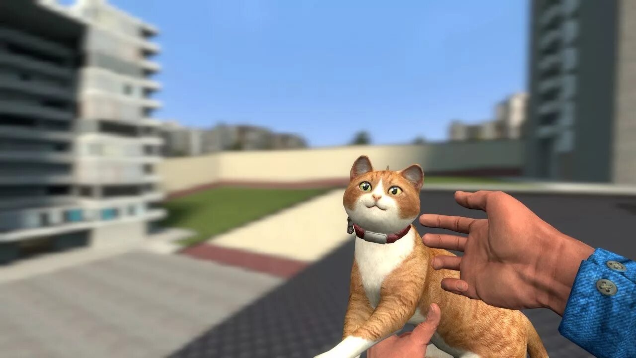 Garry s mod cat. Кот гаррис мод. мультяшный кот garry&#039;s mod. gmod кошка. maxwell cat gmod.