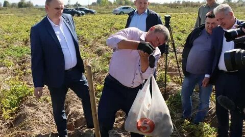 Кфх брянская область
