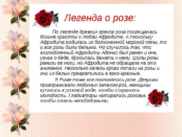 Описание плетистой розы Абракадабра: что это за чайно-гибридный сорт флорибунды