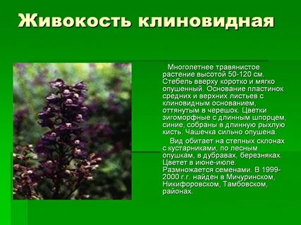 Высота травянистых растений