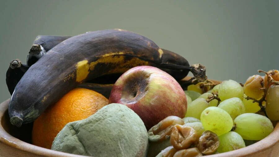 Некачественные овощи. Худшие фрукты. Гнилые овощи и фрукты. Испорченные фрукты и овощи. Гниение пищевых продуктов.