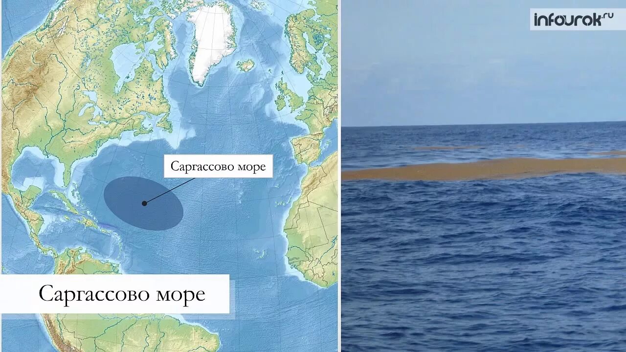 Саргассово какой океан. Атлантический океан Саргассово море. Саргассово море на карте Атлантического океана. Саргассово море границы на карте. Саргассово море на карте.