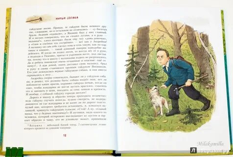 Андрейка содержание