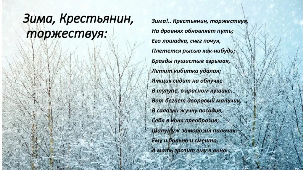 Стихотворение зима крестьянин торжествуя