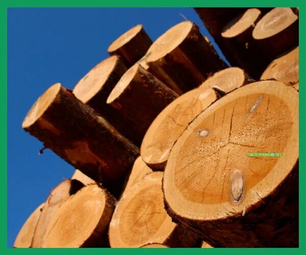 лесная промышленность норвегии. древесина пиломатериалы. тернейлес лесопильный завод. пиломатериалы бревна. лесная промышленность канады.