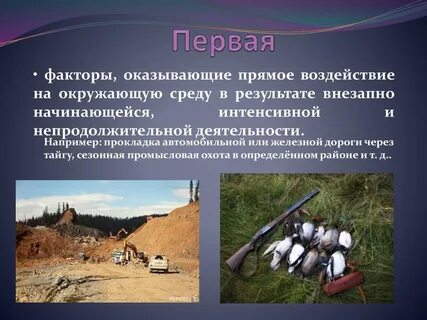 Факторы влияния человека на окружающую среду