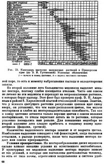 Выделение нектара растениями