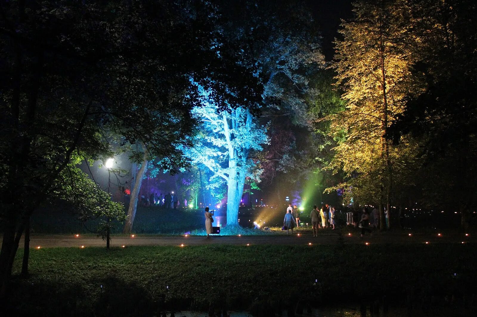 Терлецкий парк, москва, новогиреевская улица. Москва свао нет света. Свиблово (район москвы). Южное медведково москва. Москва свао нет света.