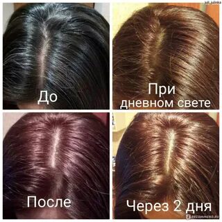 краска матрикс закрашивает седину