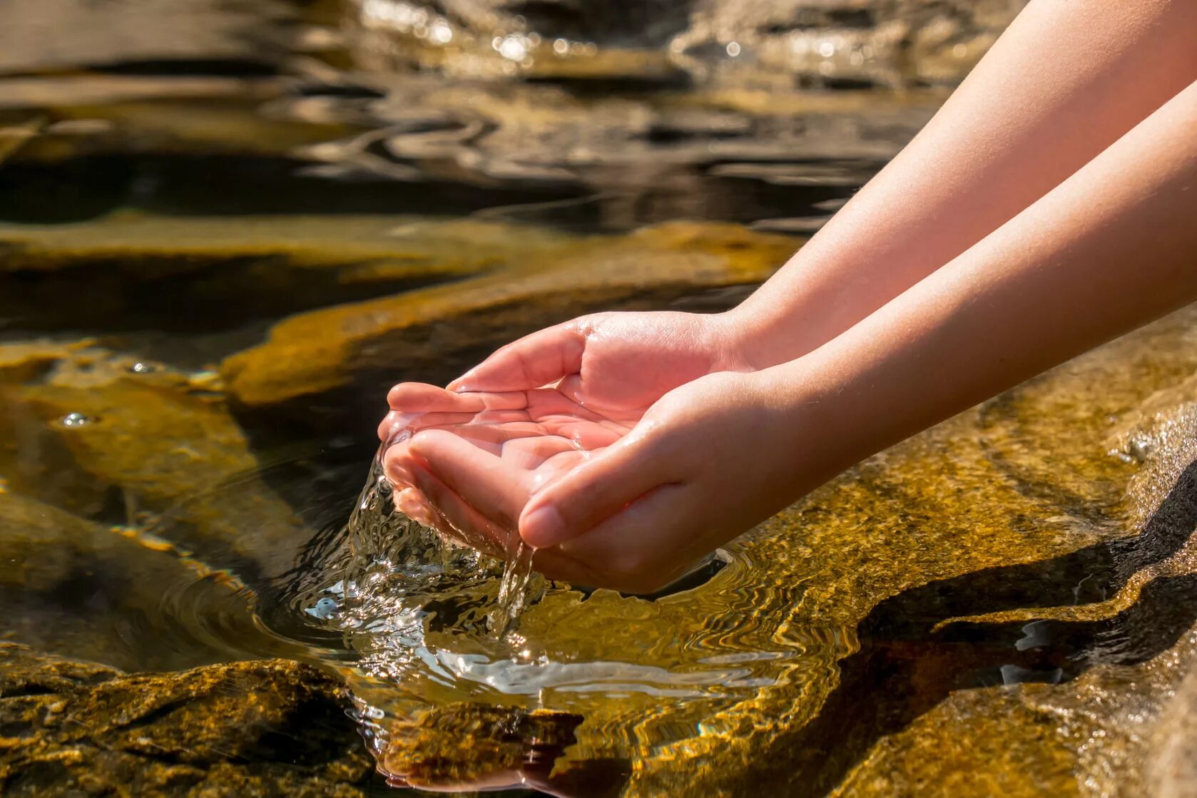 Y water