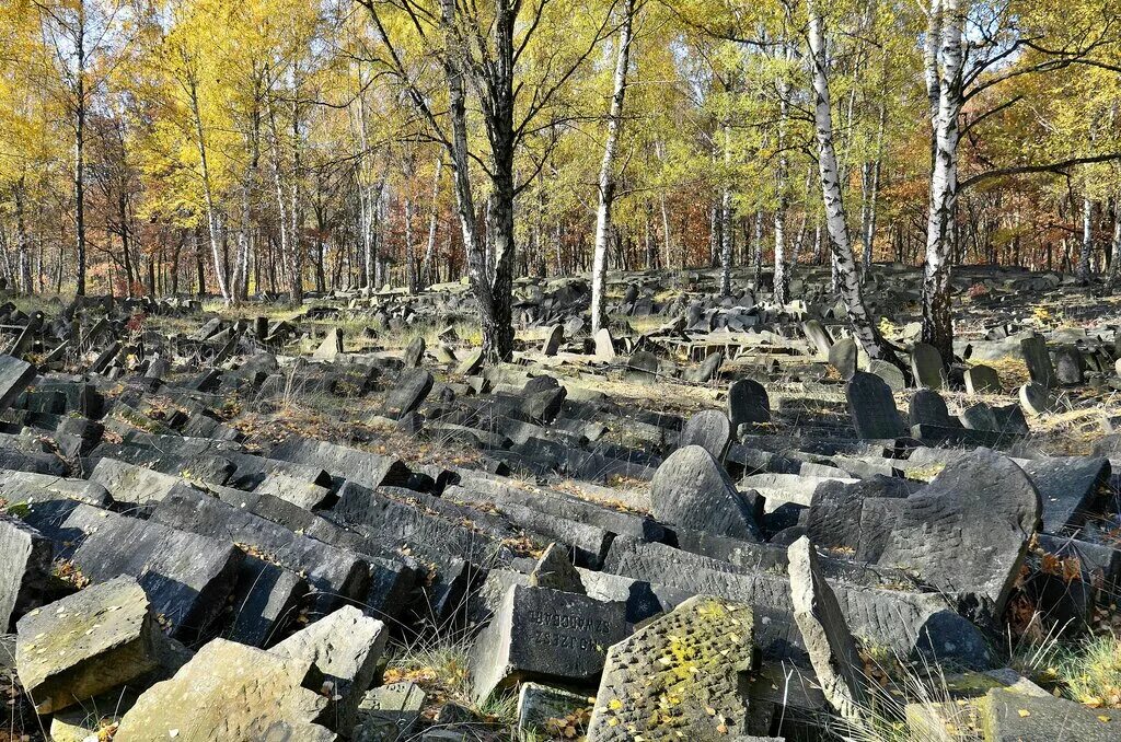 отряд варшавы могильник