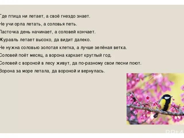 Пословица соловей месяц поет ворона круглый год. Притча о ласточке. пословица про ласточку и соловья. ласточка день начинает а соловей заканчивает. японская притча о ласточке которая заплачет.