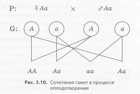 Случайная комбинация