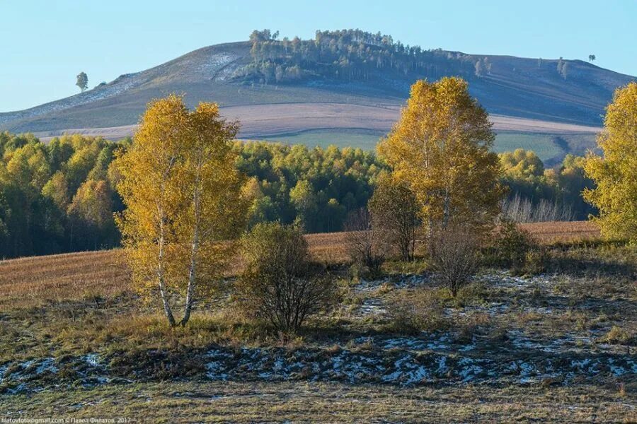 Погода в березовке алтайский край красногорский. Алтайский край Красногорский район с Красногорское. Петропавловский район Алтайский край. Село Красногорское Алтайский край с горы. Петропавловский район Алтайский край природа.