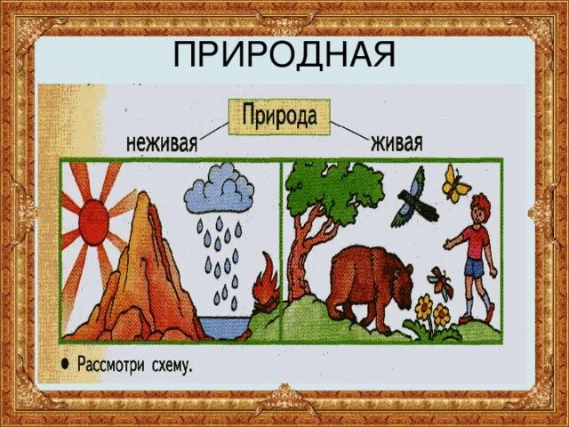 Нарисовать живую и неживую природу 2 класс. Нарисовать живую и неживую природу 2 класс