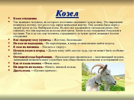 Как не быть козой