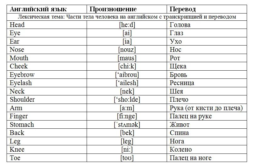 Перевод с английского 2 класс. Части тела на английском с транскрипцией и переводом. животные на английском языке. животные на английском с транскрипцией и переводом. английские слова с транскрипцией и переводом.
