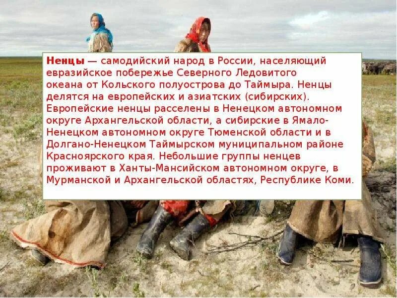 Народ севера слайд. Ненцы описание. Ненцы описание. Ненцы презентация о народе. Традиционные занятия народов севера.