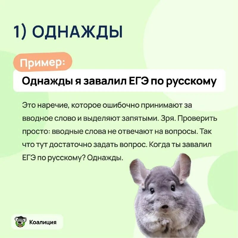 Егэ баллы за задания 2023. В белом плаще с кровавым подбоем. Коалиция егэ. Коалиция егэ. Шаркающей кавалерийской походкой.