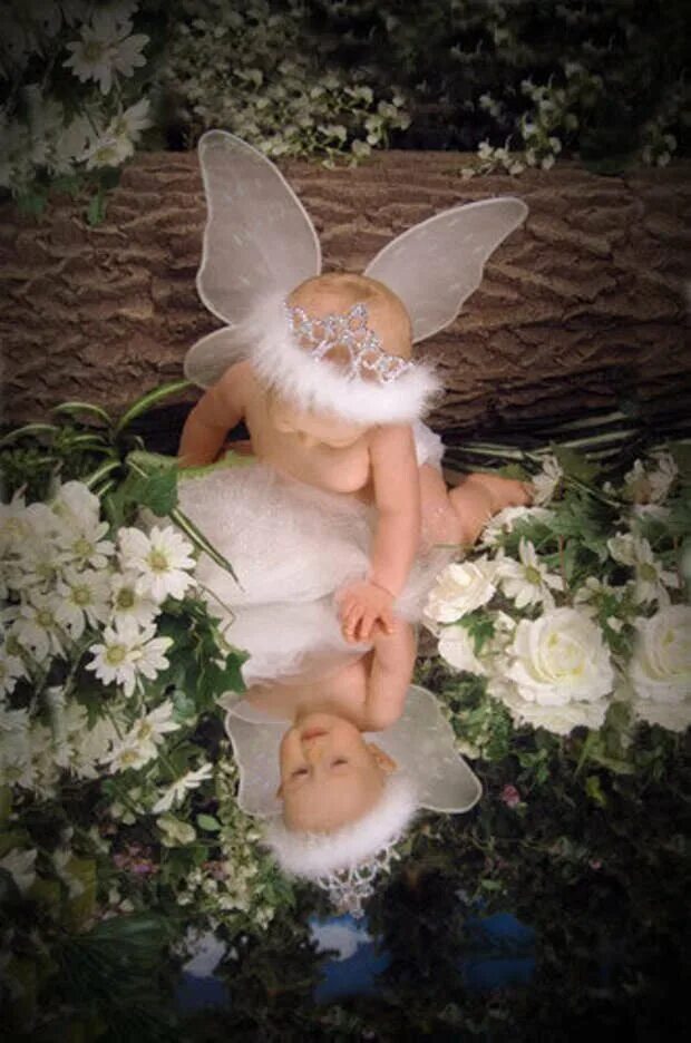 ангел природы. ангелы алекса. осенний ангел. фото доброго ангела. ребенок с крыльями.