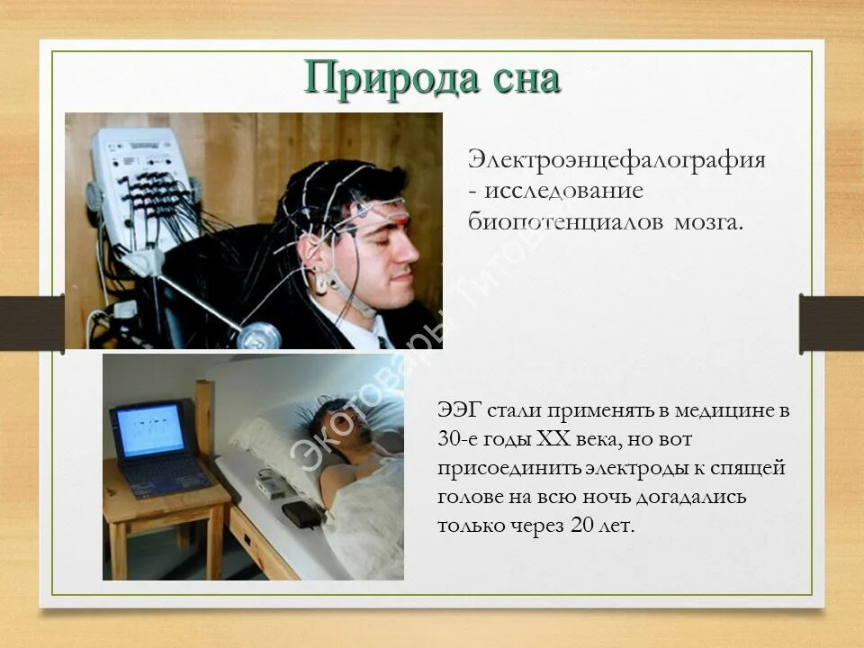Исследуйте сон