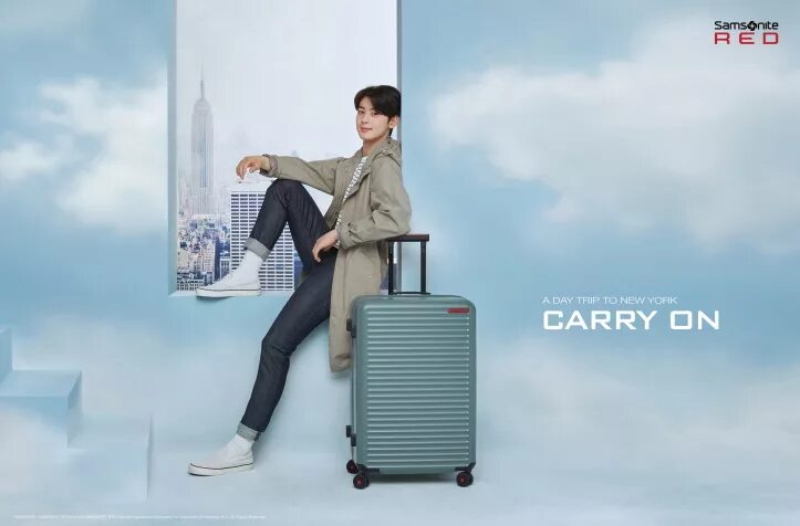 Сумка jvc. Samsonite чемоданы реклама. Сумка для canon 28 300. Samsonite 55x40x20. Девушка в красном с деньгами.