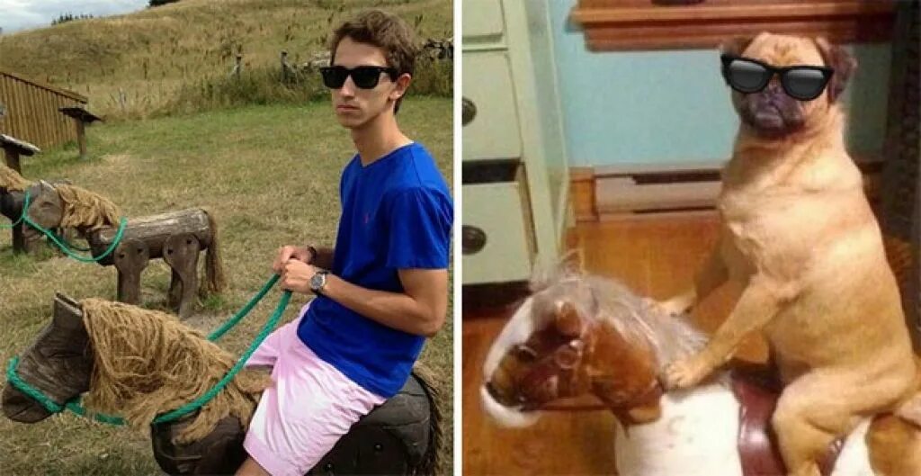 You are dog now