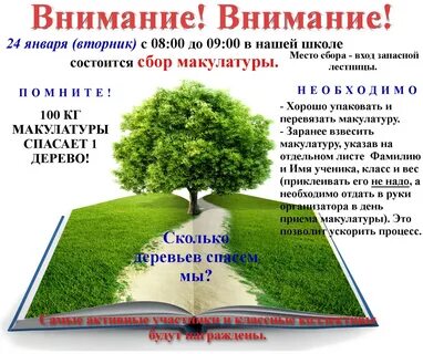 Макулатура сколько деревьев