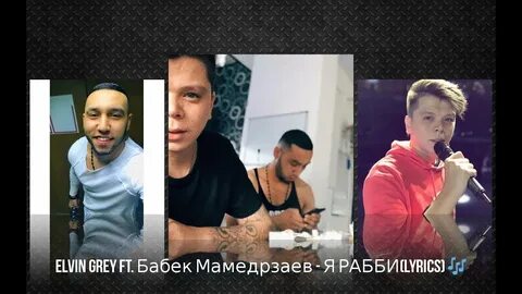 Элвин греи бабек мамедрзаев