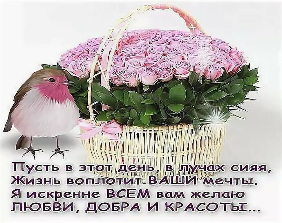 Желаем идти по жизни смело