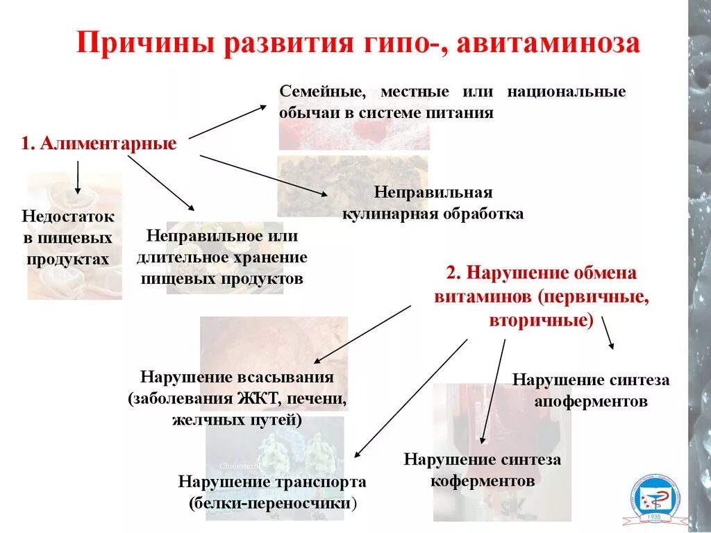 Оптимальные пути профилактики витаминной недостаточности ответ. Алиментарные и вторичные авитаминозы и гиповитаминозы. Причины гипо- и авитаминозов; гипервитаминозы. Причины возникновения гиповитаминозов и их основные проявления.. Причины развития витаминной недостаточности.