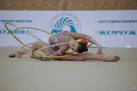 Амурский тигр художественная гимнастика