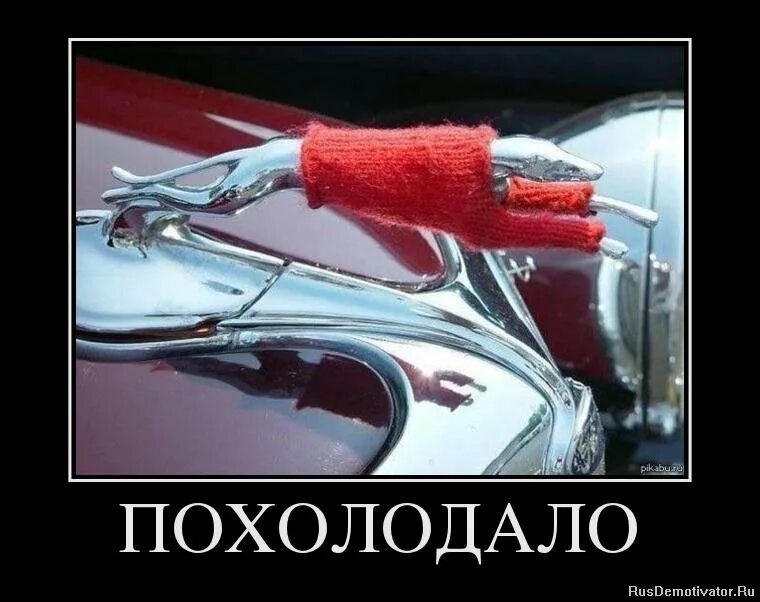похолодало картинки смешные. похолодало как пишется. грамматические ошибки одеть пальто. на утро наречие как пишется. похолодало как пишется.