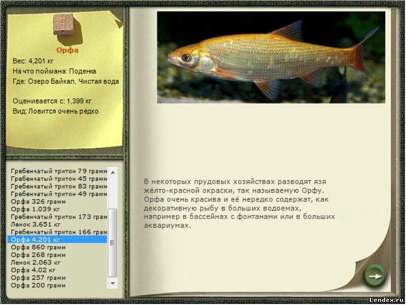 реальная рыбалка орфа лесное озеро