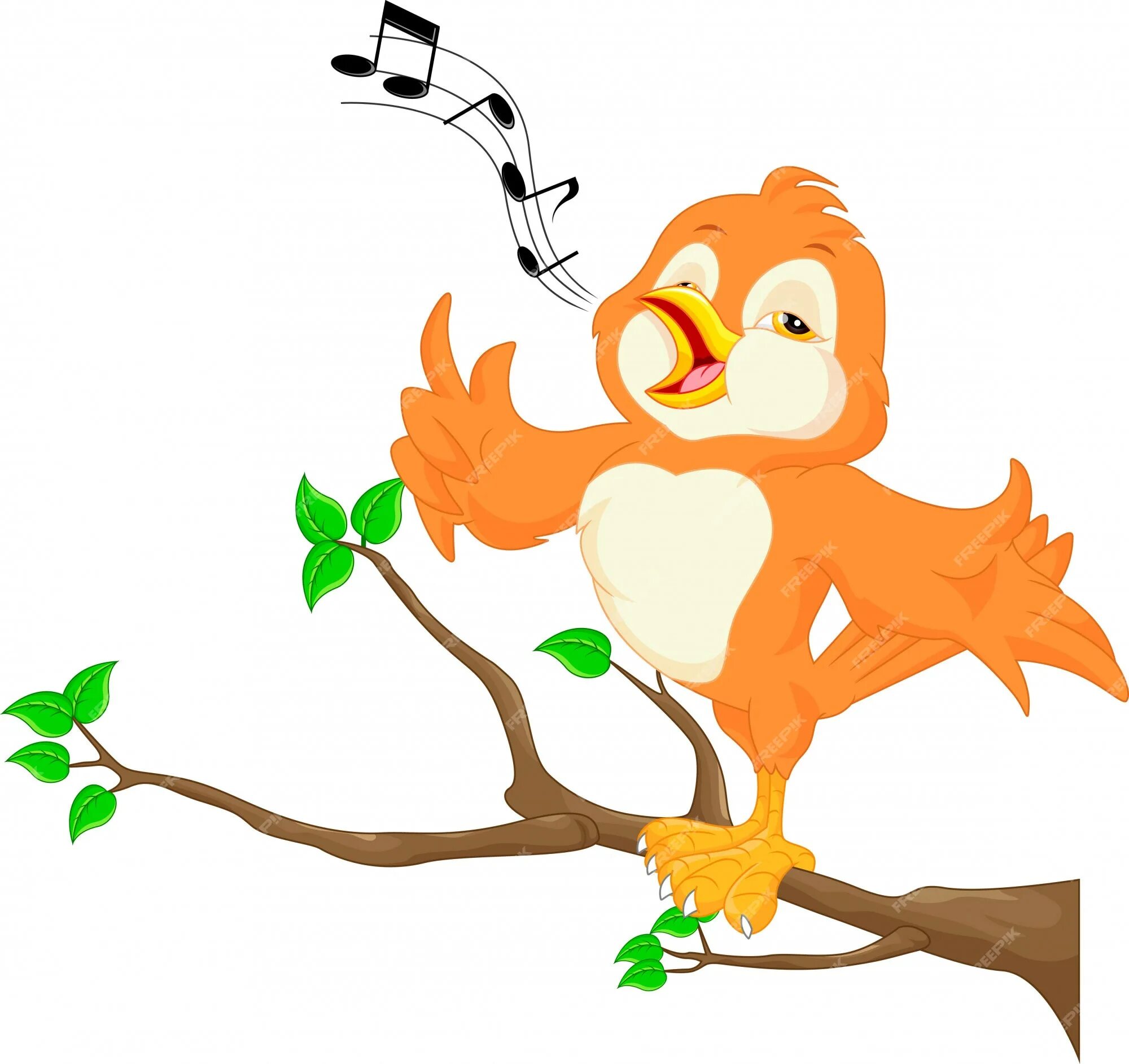 Птица поет на ветви. Птицы поют. Птица поет мультяшная. Птички поют мультяшные. Птицы поют для детей.