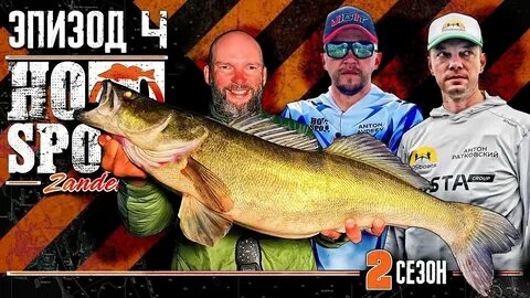 Hot spot zander 2024
