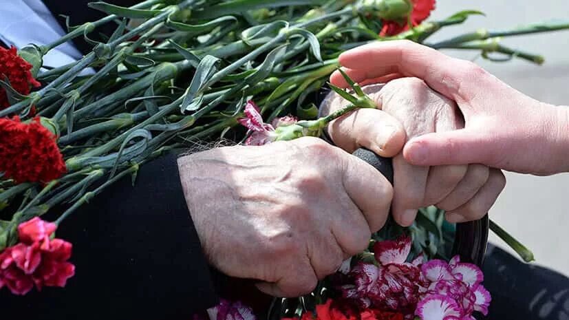 звание ветеран труда. ветеран труда. помощь ветеранам труда. льготы ветеранам. пенсия ветерана вов.