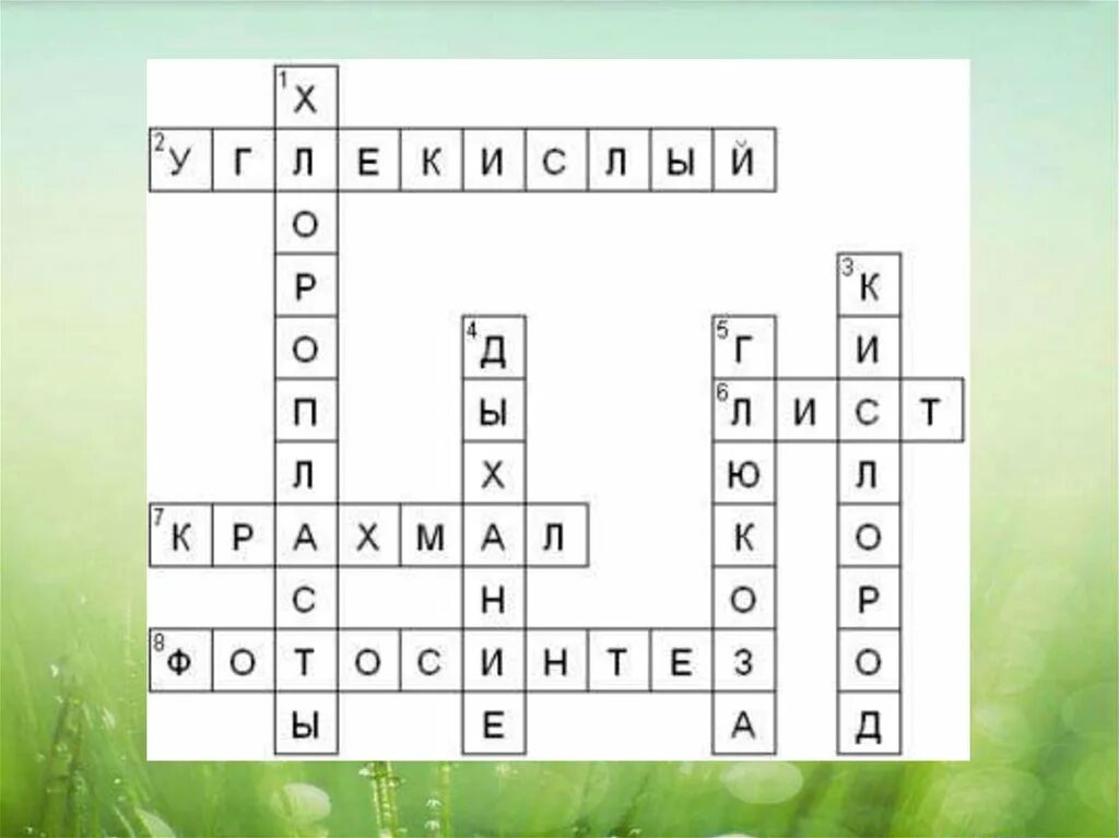 Кроссворд на слово биосфера. Кроссворд по биологии 6 класс на тему дыхание и фотосинтез. Фотосинтез кроссворд 6 класс биология. Кроссворд на тему дыхание растений. Кроссворд по биологии 6 класс.