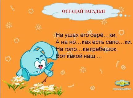 Загадка уха