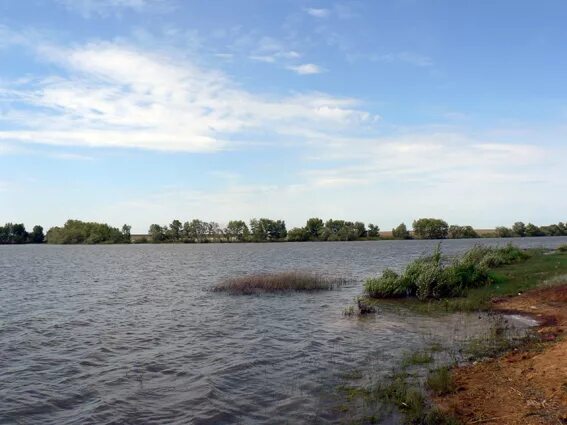 Новониколаевка старооскольский. Пруд роговатое белгородская область. Высохший пруд. Пруд новониколаевка старый оскол. Новониколаевка старооскольский.