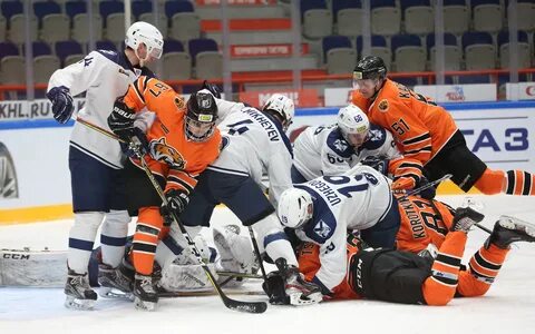 Амурский тигр тайфун прогноз