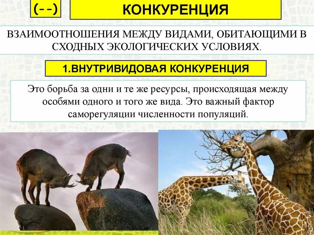 Презентация "Рыночная экономика-конкуренция и монополия" - скачать проект
