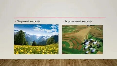 Какие ландшафты относятся к естественным