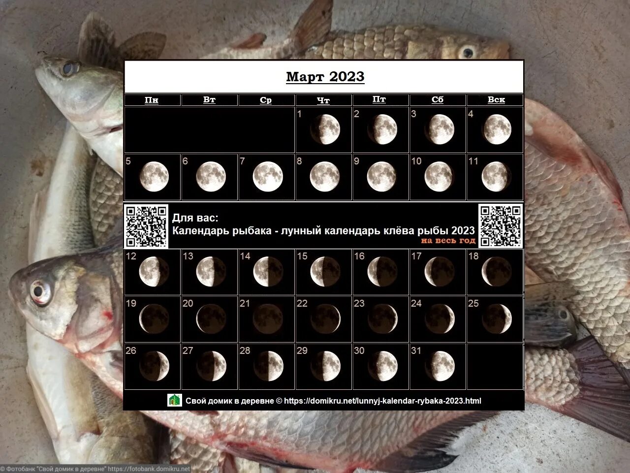 Рыболовный лунный календарь на март. Лунный календарь рыбака. Календарь рыбака 2023. Лунный календарь рыбака 2023. Лунный календарь рыбака на 2023 год.