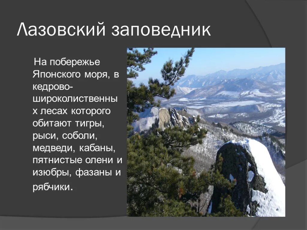 Дайте оценку природных дальнего востока. Лазовский Судзухинский заповедник дальнего Востока. Природные Уникумы дальнего Востока презентация. Природы Уникумы дальнего Востока. Уникумы дальнего Востока презентация.